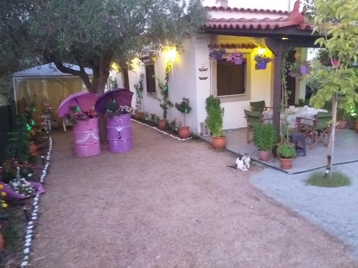 Luxury Traditional Room The Small Bookstore Kastro-Kyllini Exterior foto